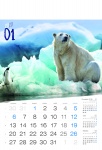 Kalendarz wieloplanszowy 2021 Wild life (zdjęcie 5)