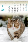 Kalendarz wieloplanszowy 2021 Koty domowe (zdjęcie 4)