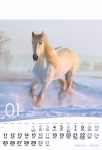 Kalendarz wieloplanszowy 2021 Konie (zdjęcie 6)
