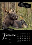 Kalendarz wieloplanszowy na rok 2024 Zwierzęta polskich lasów