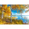 Kalendarz Barwy jesieni z 2018 roku