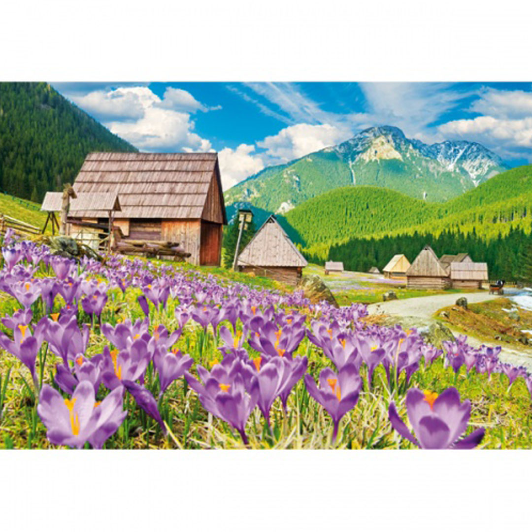 Kalendarz Dolina z 2021 roku