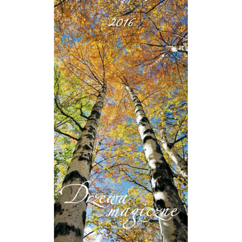 Kalendarz Drzewa Magiczne z 2016 roku