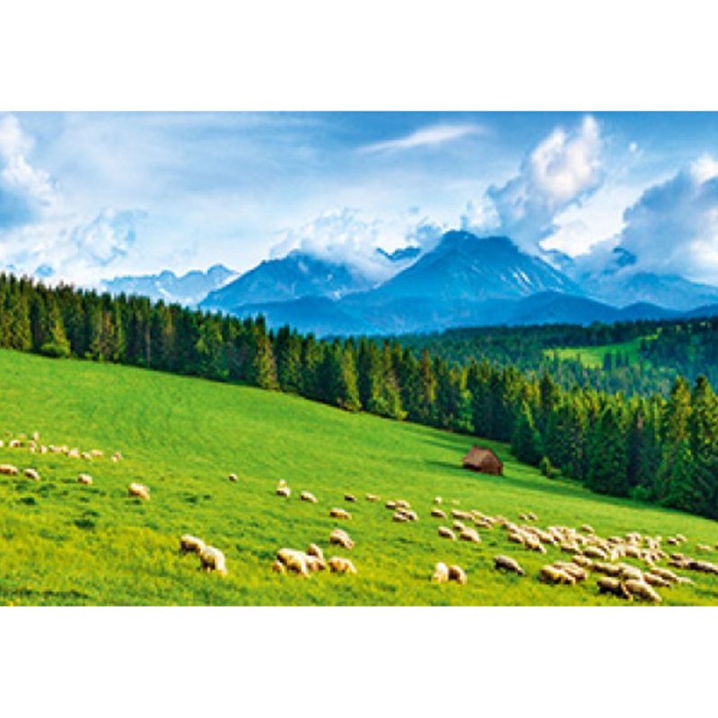Kalendarz Hale w Tatrach z 2015 roku