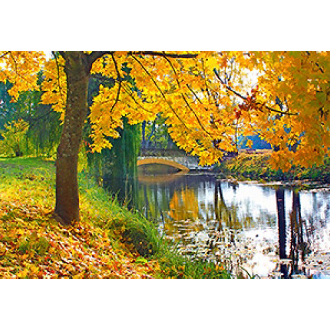 Kalendarz Jesienny park z 2019 roku