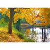Kalendarz Jesienny park z 2019 roku