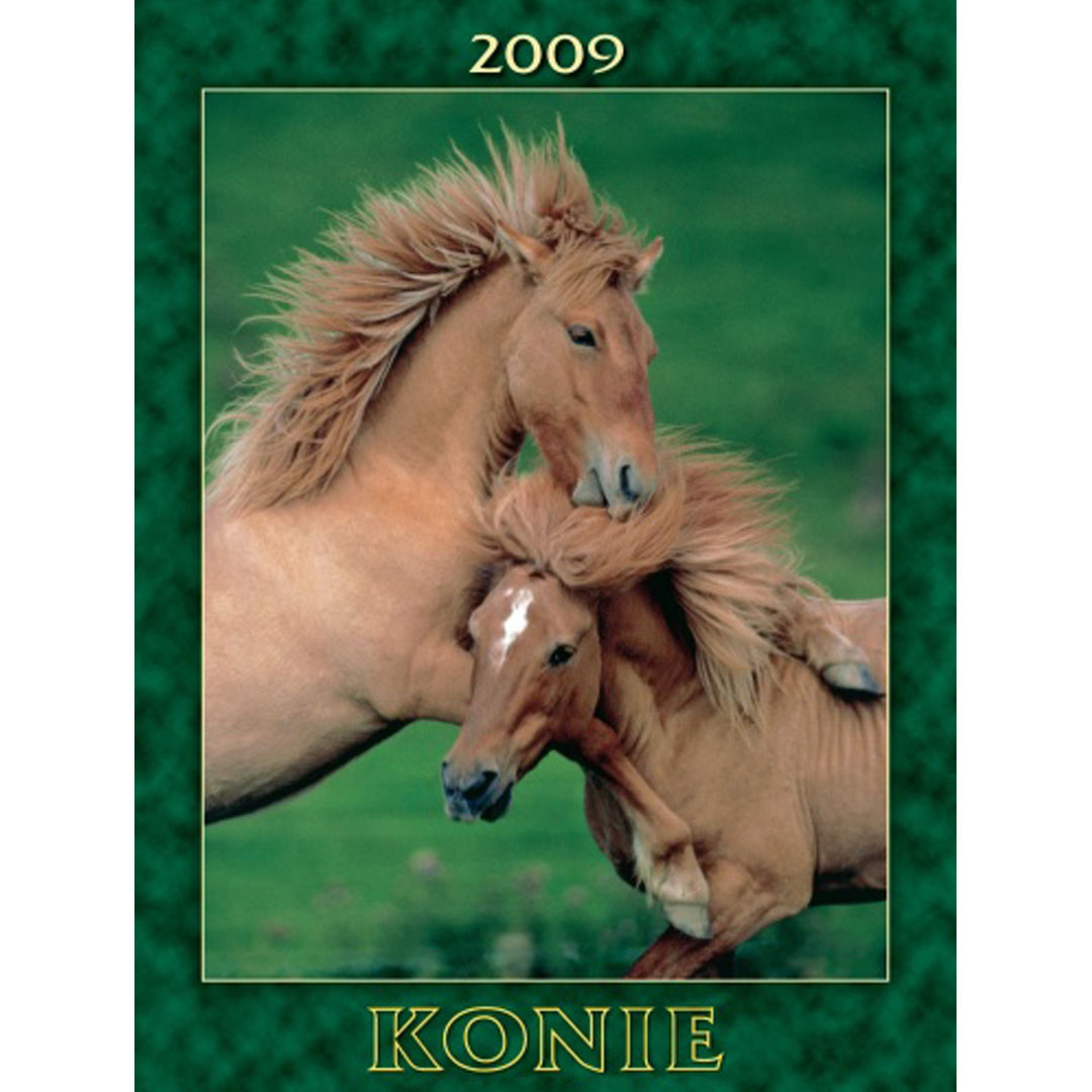 Kalendarz Konie z 2009 roku