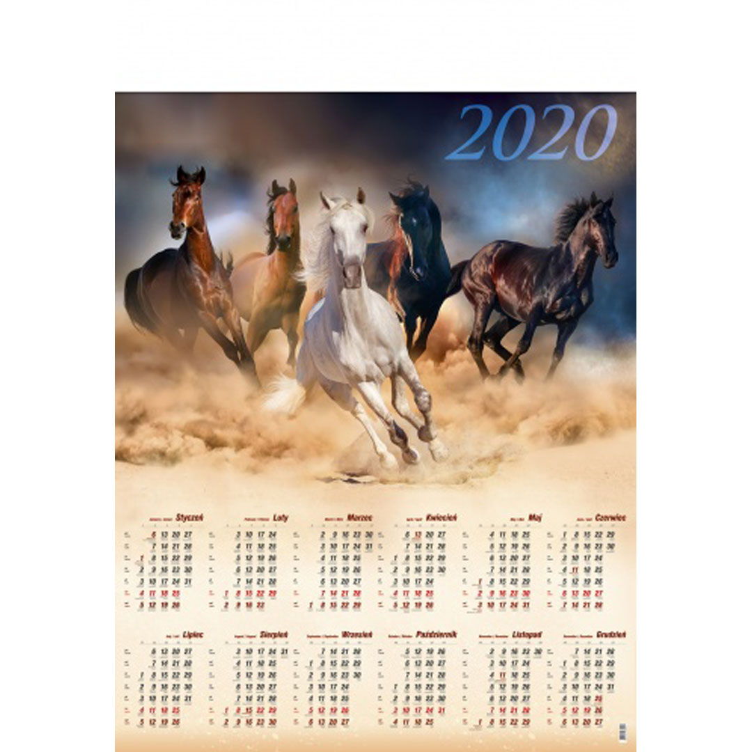 Kalendarz Konie z 2020 roku
