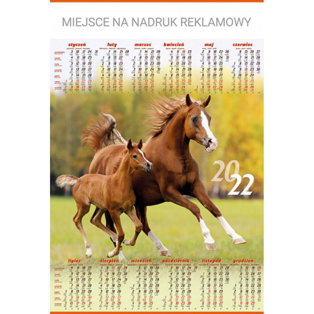 Kalendarz Konie z 2022 roku