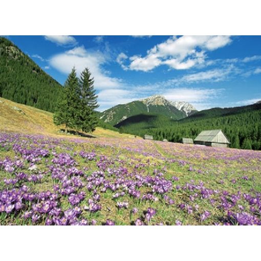 Kalendarz Krokusowa polana z 2011 roku