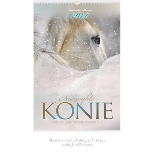 Kalendarz Niezwykłe konie z 2014 roku
