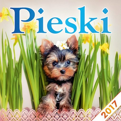 Kalendarz Pieski z 2017 roku