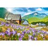 Kalendarz Polana Chochołowska z 2019 roku