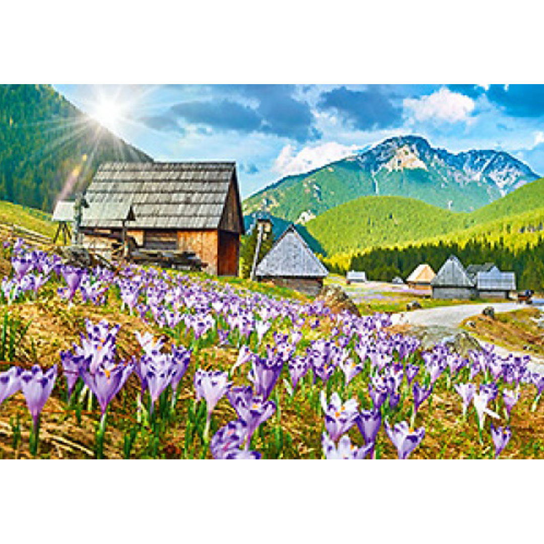 Kalendarz Polana Chochołowska z 2019 roku