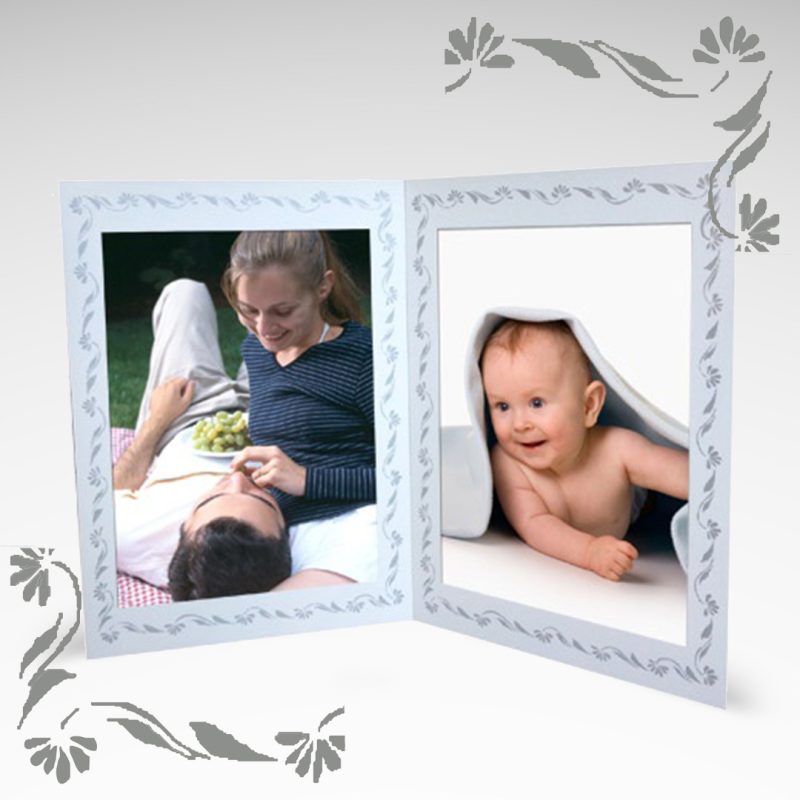 Album 2Dk srebrny 1038