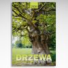 Kalendarz wieloplanszowy Drzewa na Wietrze