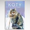 Kalendarz wieloplanszowy Koty
