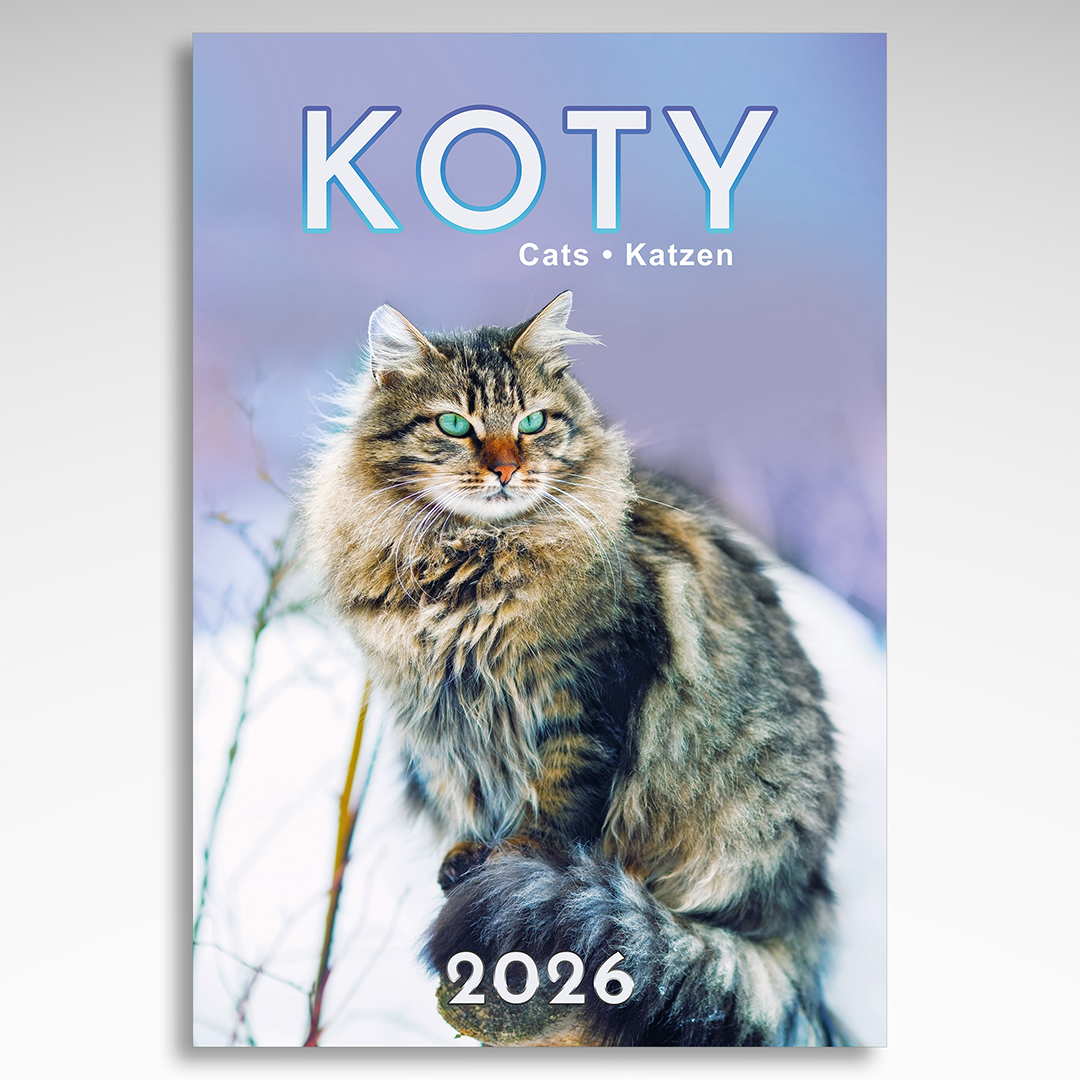 Kalendarz wieloplanszowy Koty