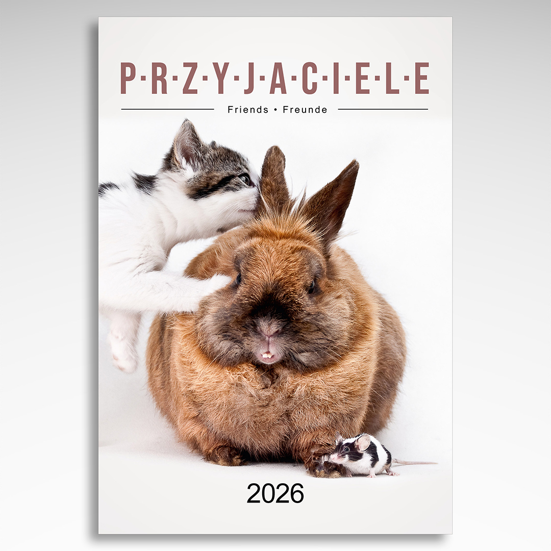 Kalendarz wieloplanszowy Przyjaciele