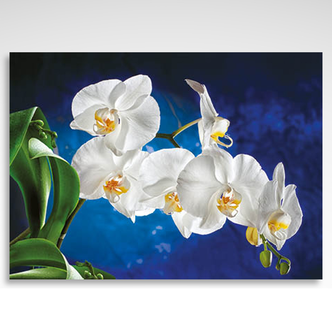 Kalendarz trójdzielny Orchidea