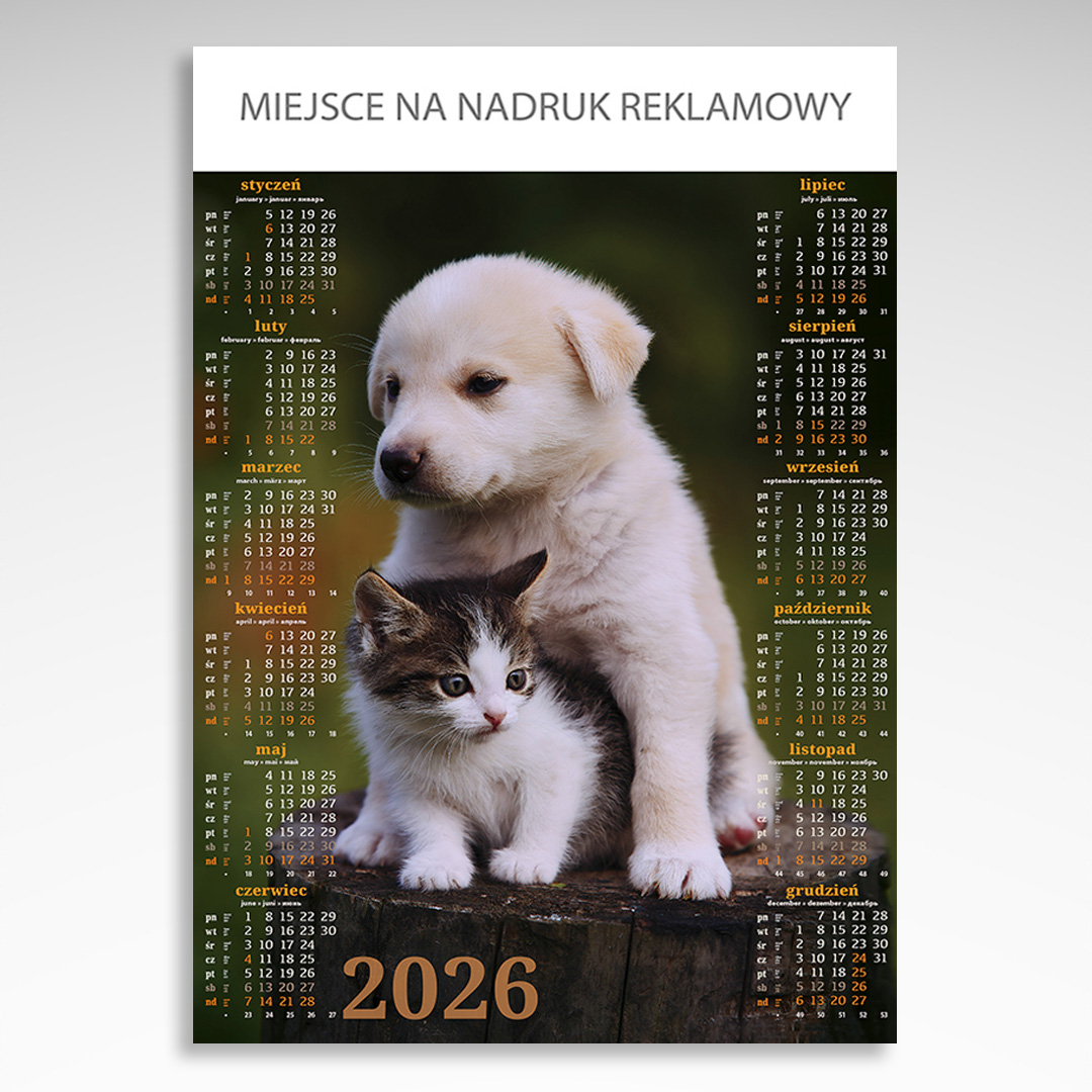 Kalendarz planszowy Przyjaciele