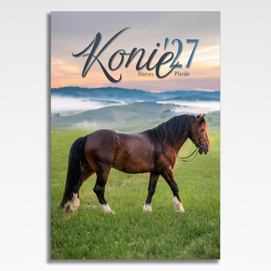 kalendarz wieloplanszowy konie, okładka kalendarza z grafiką tematyczną i spiralą Wire-O