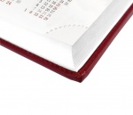 Kalendarz książowy 2022 Kalendarze książkowe A5-98 (zdjęcie 1)