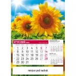 Kalendarz jednodzielny płaski 2024 Słoneczniki