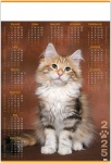 Kalendarz planszowy 2025 Kot