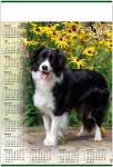 Kalendarz planszowy 2025 Pies