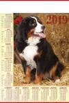 Kalendarz planszowy B1 2019 Pies