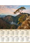 Kalendarz planszowy B1 2019 Sokolica