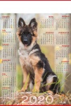 Kalendarz planszowy B1 2021 Pies