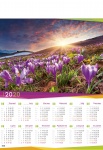 Kalendarz planszowy B1 2021 Polana z krokusami