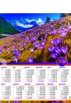 Kalendarz planszowy B1 2021 Tatrzańskie krokusy