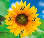 Kalendarz trojdzielny Kwiat słonecznika