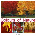 Kalendarz książkowy 2019 Colours of nature (zdjęcie 12)