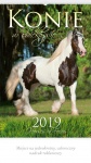 Kalendarz wieloplanszowy 2019 Konie w obiektywie (zdjęcie 1)
