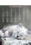 Kalendarz wieloplanszowy 2019 Koty (zdjęcie 9)