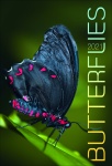Kalendarz wieloplanszowy 2021 Butterflies (zdjęcie 13)