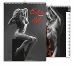 Kalendarz wieloplanszowy 2021 Erotic art (zdjęcie 2)