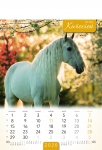 Kalendarz wieloplanszowy 2021 Konie (zdjęcie 4)