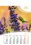 Kalendarz wieloplanszowy 2021 Ptaki (zdjęcie 7)