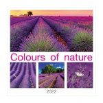 Kalendarz wieloplanszowy 2023 Colours of nature (zdjęcie 10)