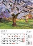 Kalendarz wieloplanszowy na rok 2024 4 pory roku (zdjęcie 10)