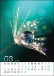 Kalendarz wieloplanszowy na rok 2024 Aqua (zdjęcie 8)