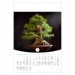 Kalendarz wieloplanszowy na rok 2024 Bonsai (zdjęcie 1)