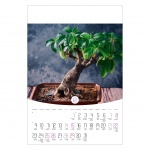 Kalendarz wieloplanszowy na rok 2024 Bonsai (zdjęcie 12)