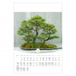 Kalendarz wieloplanszowy na rok 2024 Bonsai (zdjęcie 2)