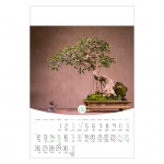 Kalendarz wieloplanszowy na rok 2024 Bonsai (zdjęcie 3)